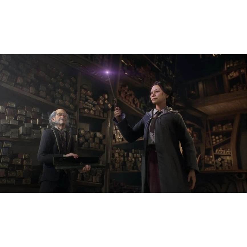 Игра Sony Hogwarts Legacy (Русские субтитры) (PS4/PS5) фото 4