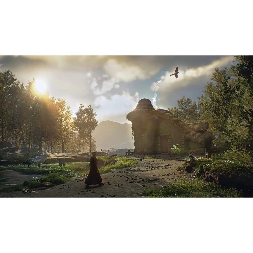 Игра Sony Hogwarts Legacy (Русские субтитры) (PS5) фото 5